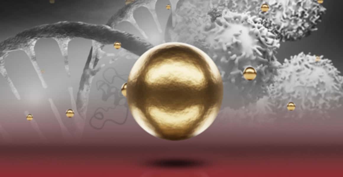 Magnetic beads and nucleic acids